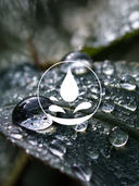 Regen